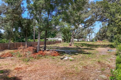 Terreno en venta en Apopka, Florida № 1856293 - foto 7