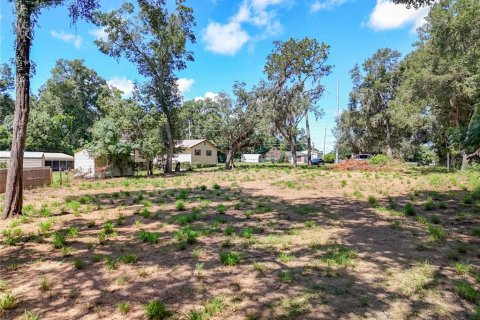Terreno en venta en Apopka, Florida № 1856293 - foto 6