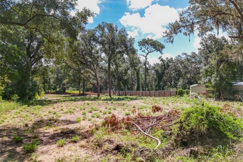 Terreno en venta en Apopka, Florida № 1856293 - foto 5
