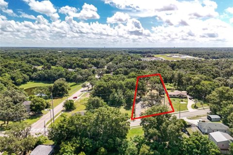 Terreno en venta en Apopka, Florida № 1856293 - foto 2