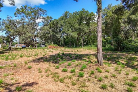 Terreno en venta en Apopka, Florida № 1856293 - foto 8