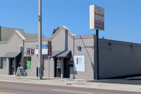 Propiedad comercial en alquiler en Palmetto, Florida, 48.31 m2 № 2106072 - foto 2