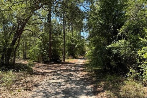 Land in Bronson, Florida № 2159534