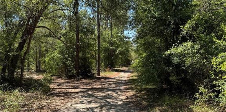 Terreno en Bronson, Florida № 2159534