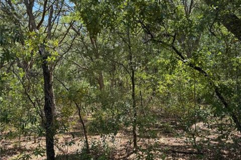 Terreno en venta en Bronson, Florida № 2159534 - foto 2