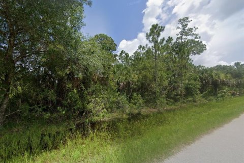 Land in Port Charlotte, Florida № 2165393