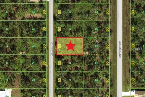 Land in Port Charlotte, Florida № 2165393 - photo 4