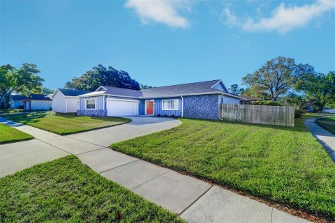 Villa ou maison à vendre à Palm Harbor, Floride: 3 chambres, 180.88 m2 № 1908617 - photo 1