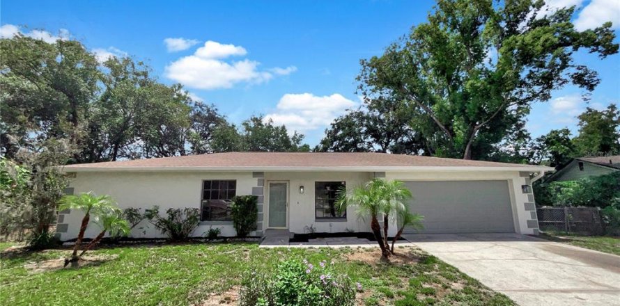 House in Lutz, Florida 4 bedrooms, 165.46 sq.m. № 1880972