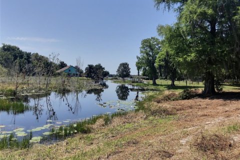 Terreno en venta en Belleview, Florida № 1640674 - foto 6