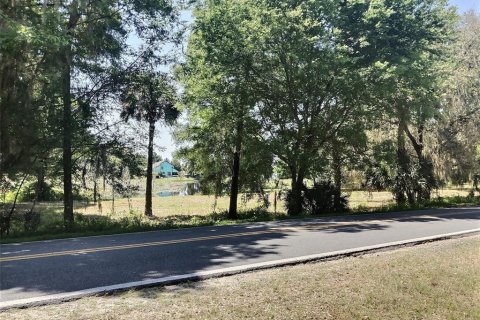 Terreno en venta en Belleview, Florida № 1640674 - foto 8