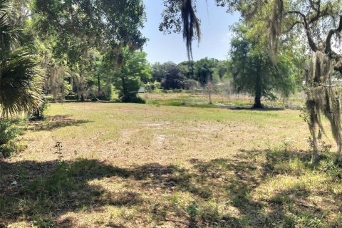 Terreno en venta en Belleview, Florida № 1640674 - foto 9