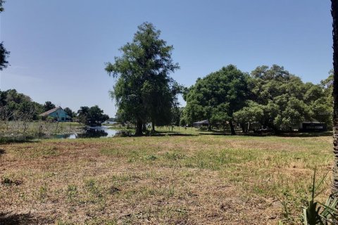 Terreno en venta en Belleview, Florida № 1640674 - foto 7