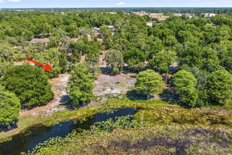 Terreno en venta en Belleview, Florida № 1640674 - foto 5