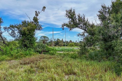 Land in Englewood, Florida № 1534312 - photo 11