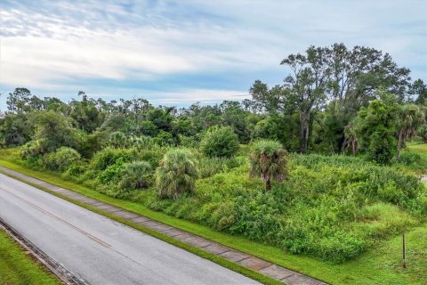 Land in Englewood, Florida № 1534312 - photo 8
