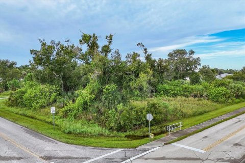 Land in Englewood, Florida № 1534312 - photo 9