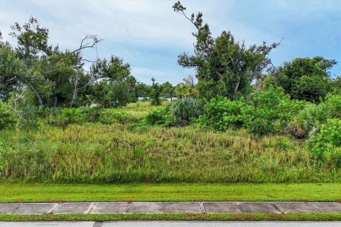Land in Englewood, Florida № 1534312 - photo 10
