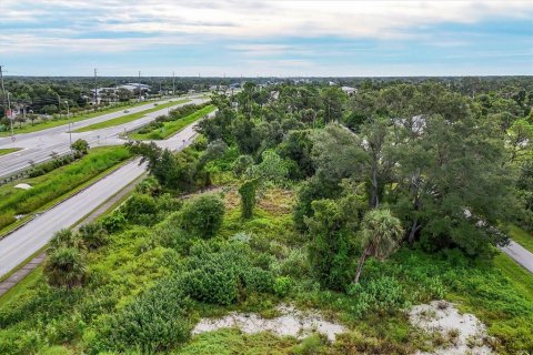 Land in Englewood, Florida № 1534312 - photo 13