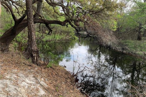 Terreno en venta en Dade City, Florida № 2213335 - foto 5