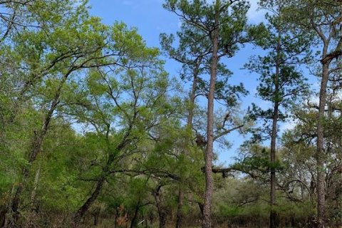 Terreno en venta en Dade City, Florida № 2213335 - foto 4