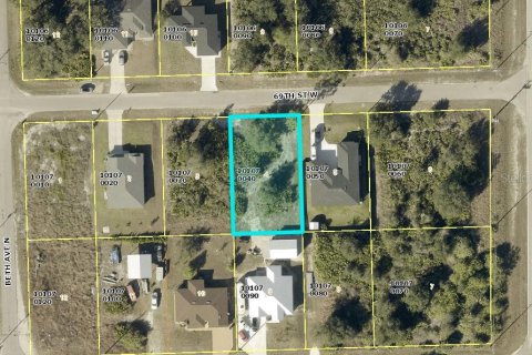 Land in Lehigh Acres, Florida № 2396358 - photo 3