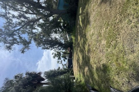 Terreno en venta en Saint Petersburg, Florida № 1903097 - foto 3