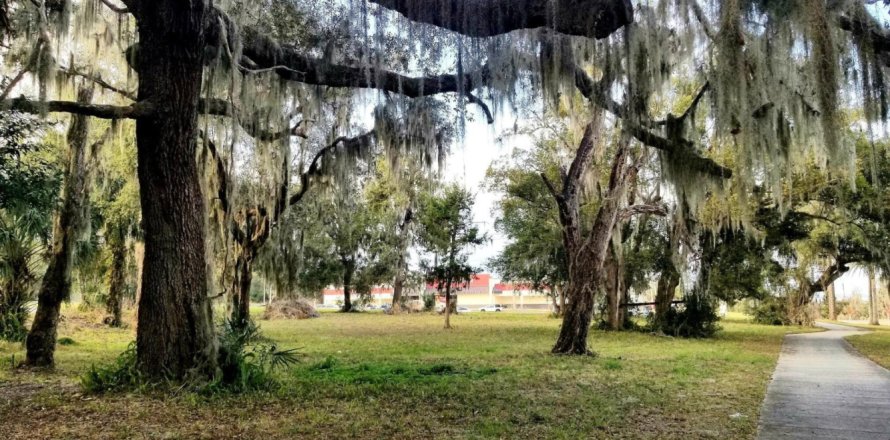 Terreno en Crescent City, Florida № 766164
