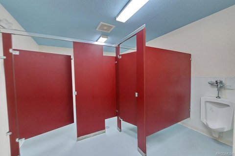 Propiedad comercial en venta en Homosassa, Florida, 430.97 m2 № 1816560 - foto 18