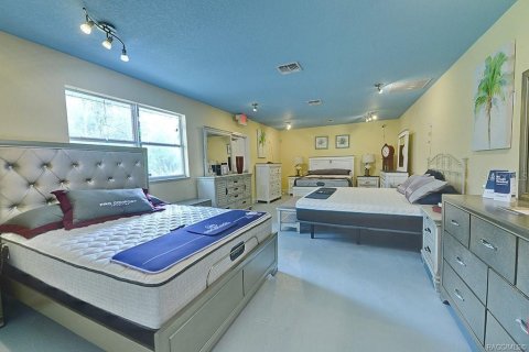Propiedad comercial en venta en Homosassa, Florida, 430.97 m2 № 1816560 - foto 11