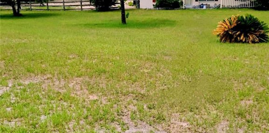 Villa ou maison à Ocala, Floride 3 chambres, 153.47 m2 № 1796777