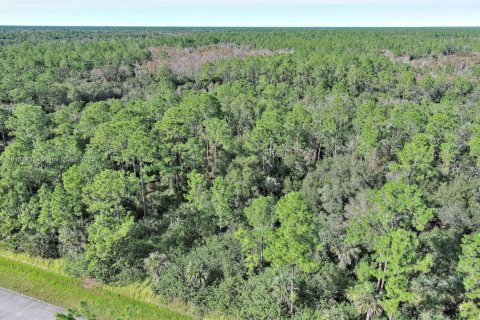 Terreno en venta en Naples, Florida № 2071261 - foto 4
