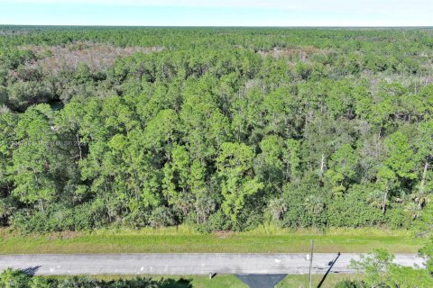 Terreno en Naples, Florida № 2071261