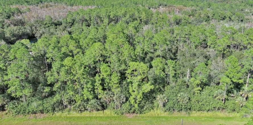 Terreno en Naples, Florida № 2071261