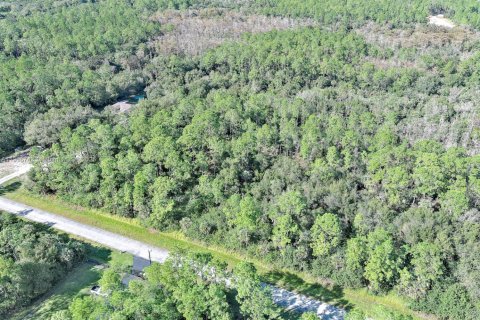 Terreno en venta en Naples, Florida № 2071261 - foto 6