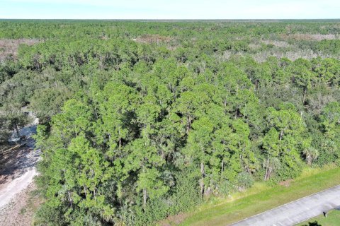 Terreno en venta en Naples, Florida № 2071261 - foto 3