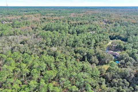 Terreno en venta en Naples, Florida № 2071261 - foto 14