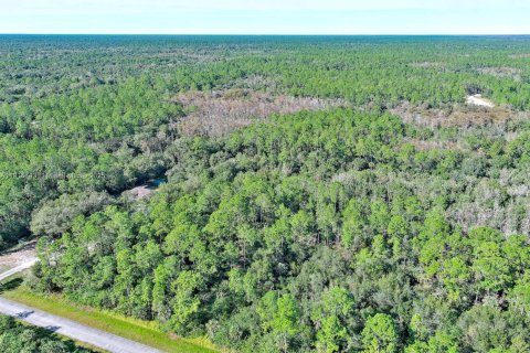 Terreno en venta en Naples, Florida № 2071261 - foto 5