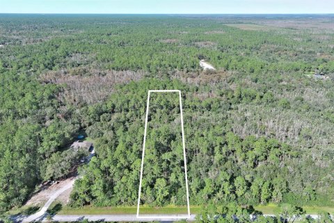 Terreno en venta en Naples, Florida № 2071261 - foto 2