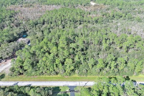 Terreno en venta en Naples, Florida № 2071261 - foto 7