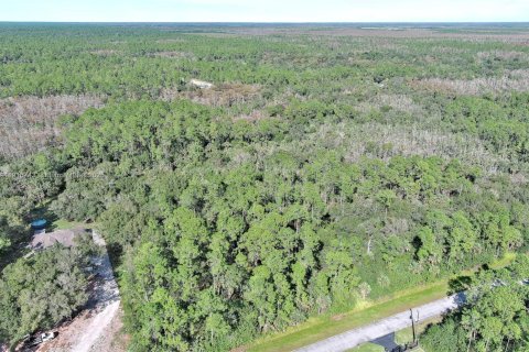 Terreno en venta en Naples, Florida № 2071261 - foto 9