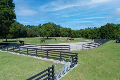 Купить коммерческую недвижимость в Окала, Флорида № 2009434 - фото 23