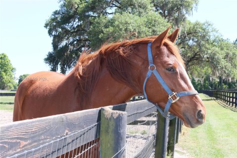 Immobilier commercial à Ocala, Floride № 2009434