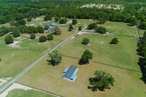 Купить коммерческую недвижимость в Окала, Флорида № 2009434 - фото 9