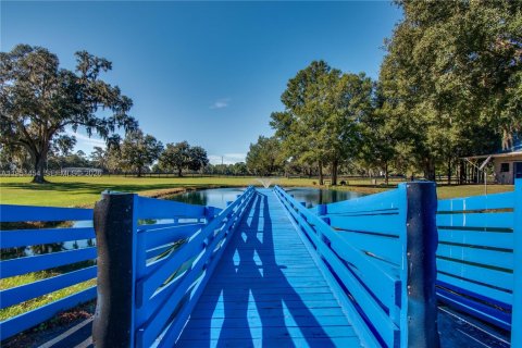 Купить коммерческую недвижимость в Окала, Флорида № 2009434 - фото 18