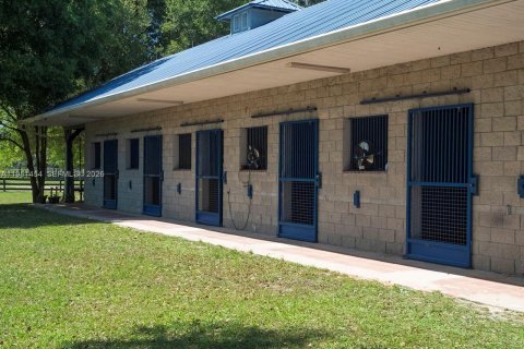 Купить коммерческую недвижимость в Окала, Флорида № 2009434 - фото 28