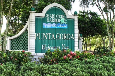 Land in Punta Gorda, Florida № 1985632 - photo 27