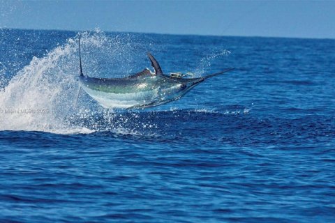 Land in Punta Gorda, Florida № 1985632 - photo 21