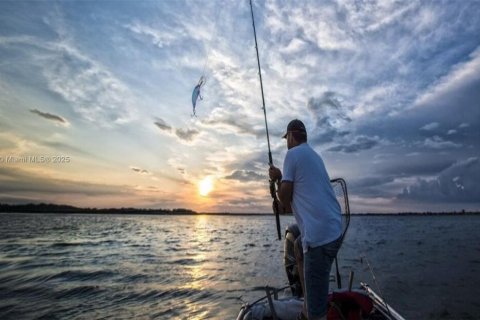 Land in Punta Gorda, Florida № 1985632 - photo 20