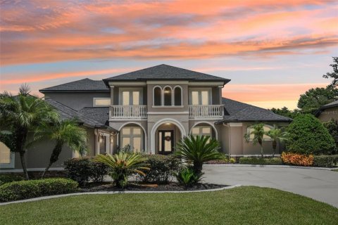 House in Brandon, Florida 7 bedrooms, 424.66 sq.m. № 1875781 - photo 1